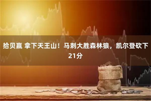 拾贝赢 拿下天王山！马刺大胜森林狼，凯尔登砍下21分